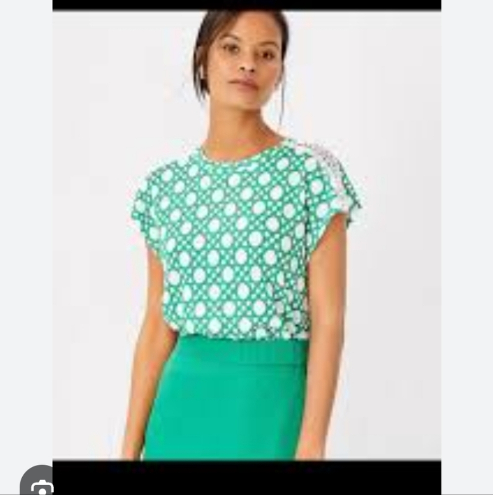 Ann Taylor Green And White Linen Tee